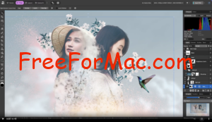 Screenshot-2026-01-24-at-10.38.55-PM-300x173 Affinity Designer 2.6.4 Crack for Mac 2026 Free Version